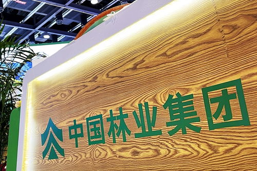中林集團子公司商票逾期風波加劇，原董事長遭起訴，旅游業務何去何從？