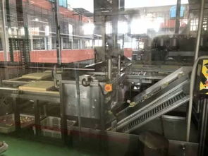104班云朵家研學之旅 探秘祖名豆腐廠，品味傳統工藝的現代傳承